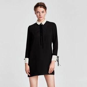 NWOT Women’s Zara Black and White Collared Button Dress